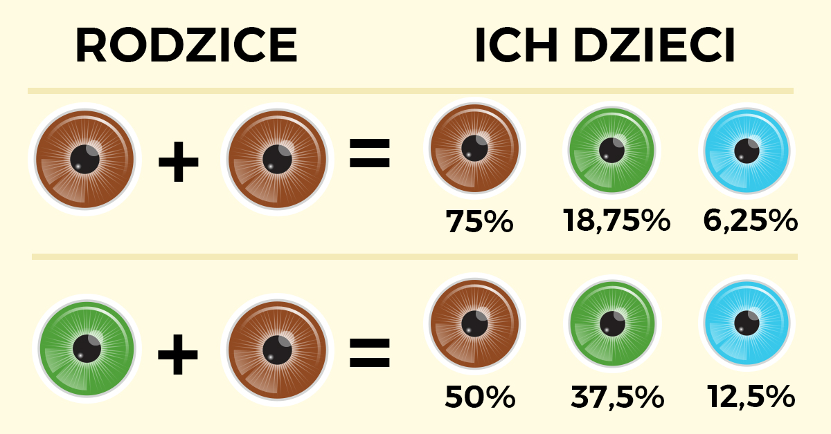 Szybki Przewodnik Jaki Kolor Oczu Będą Miały Wasze Dzieci Genialne 2842