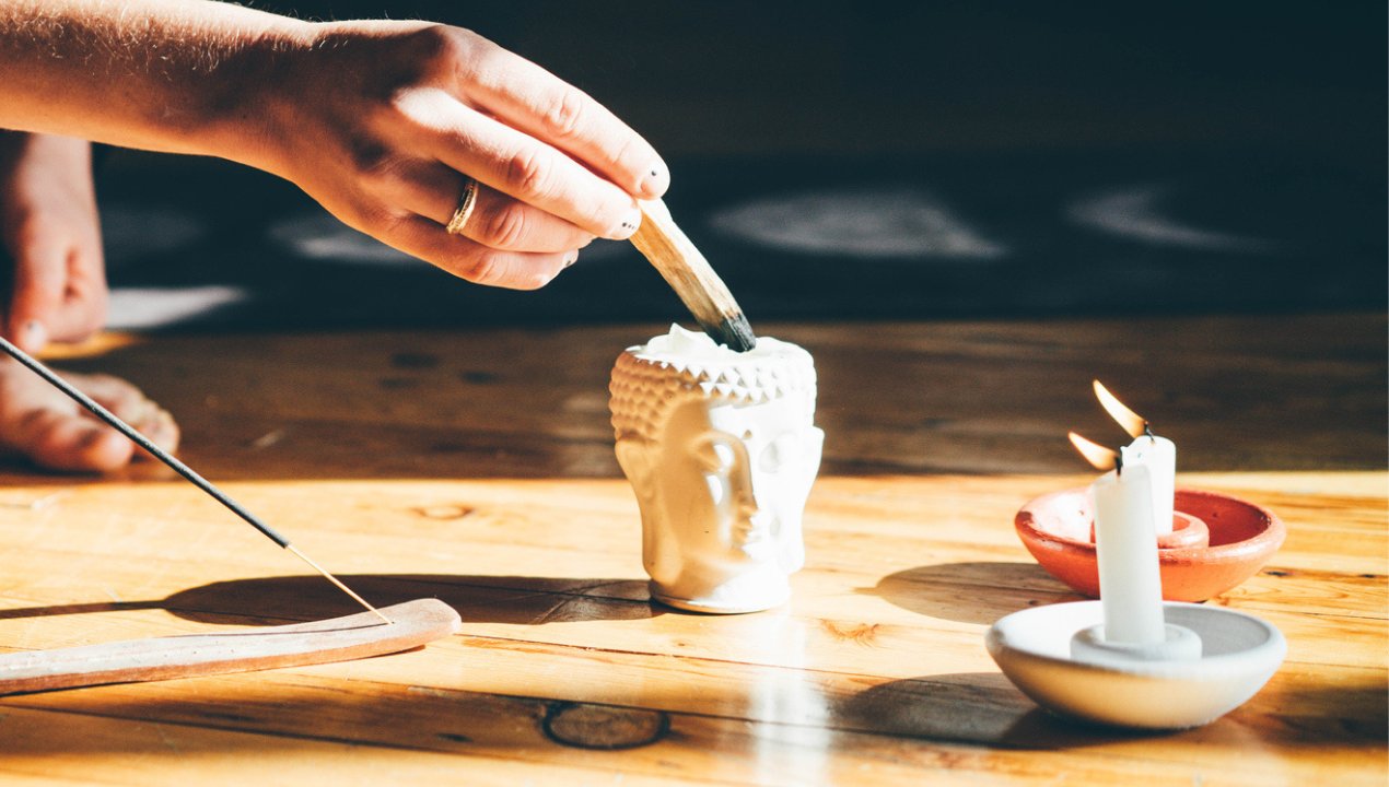 Jak oczyścić dom z negatywnej energii? Rośliny mają magiczne adekwatności, wykorzystaj je