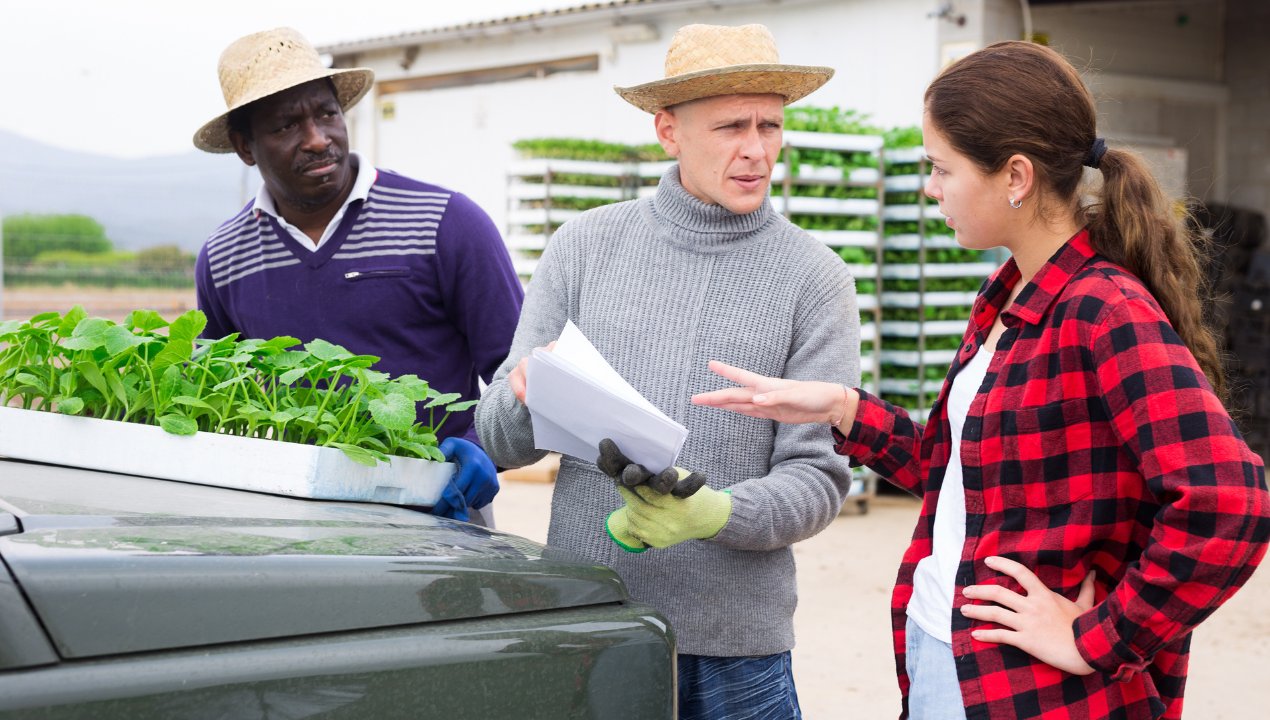 Myślałem, iż zakaz rozdawania sadzonek to bujda. Nie wiedziałem, iż można za to trafić do więzienia!