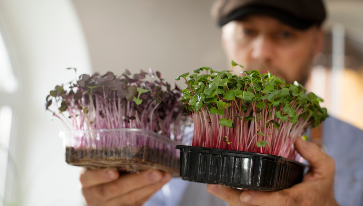 Koniec z brudem i długim czekaniem na plony! Tak gwałtownie wyhodujesz warzywa