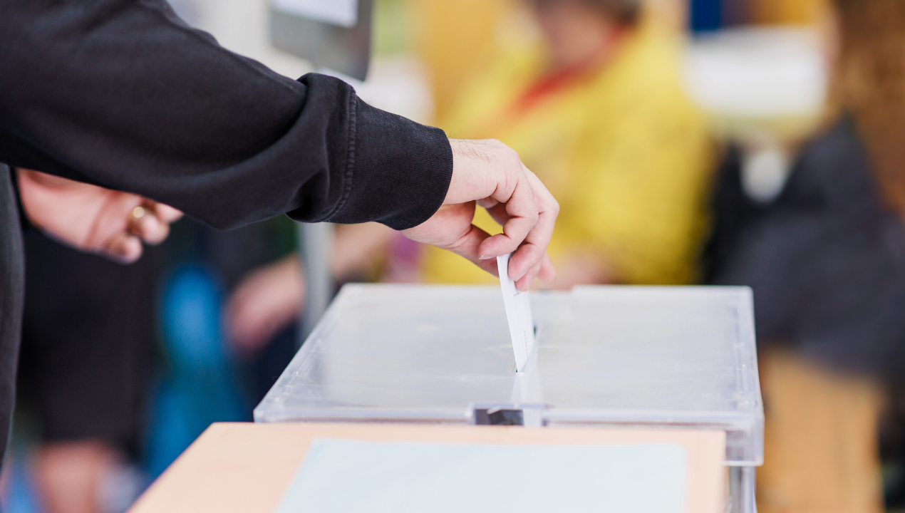 Где вы будете голосовать 15 октября? Вот как вы найдете свой избирательный округ